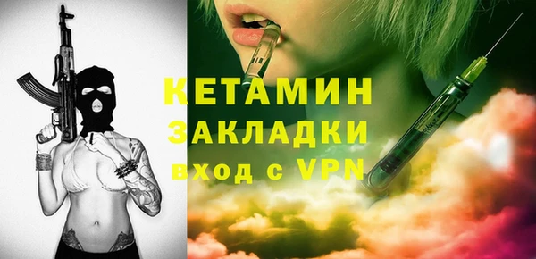 шишки Дмитриев