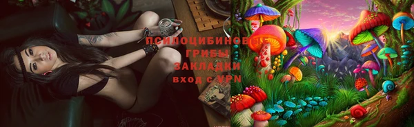 гашиш Дмитровск