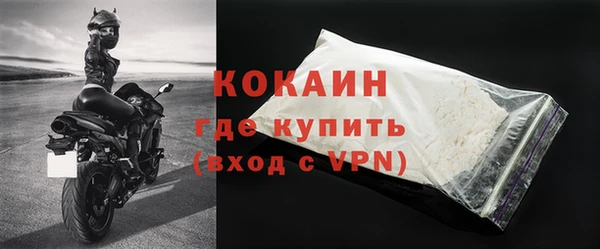 шишки Дмитриев
