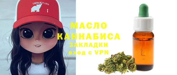 шишки Дмитриев