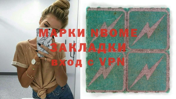 шишки Дмитриев