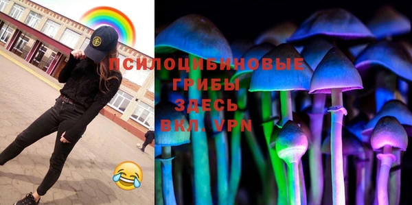ГАЛЛЮЦИНОГЕННЫЕ ГРИБЫ Дегтярск