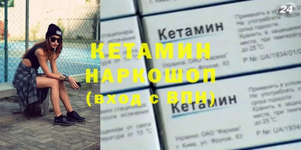 шишки Дмитриев