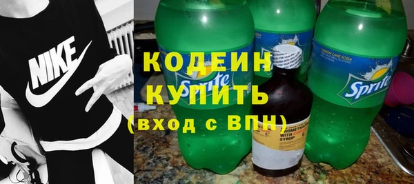 шишки Дмитриев