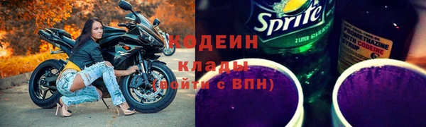 шишки Дмитриев