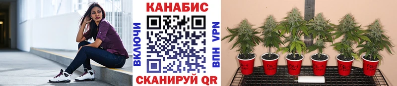 Бошки марихуана OG Kush  hydra ONION  Емва  дарнет шоп 